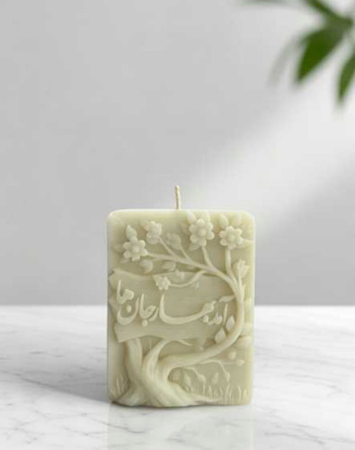 شمع آمد بهار جانها